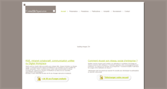 Desktop Screenshot of conseiletorganisation.com