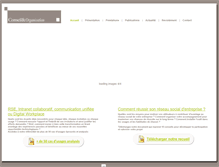 Tablet Screenshot of conseiletorganisation.com